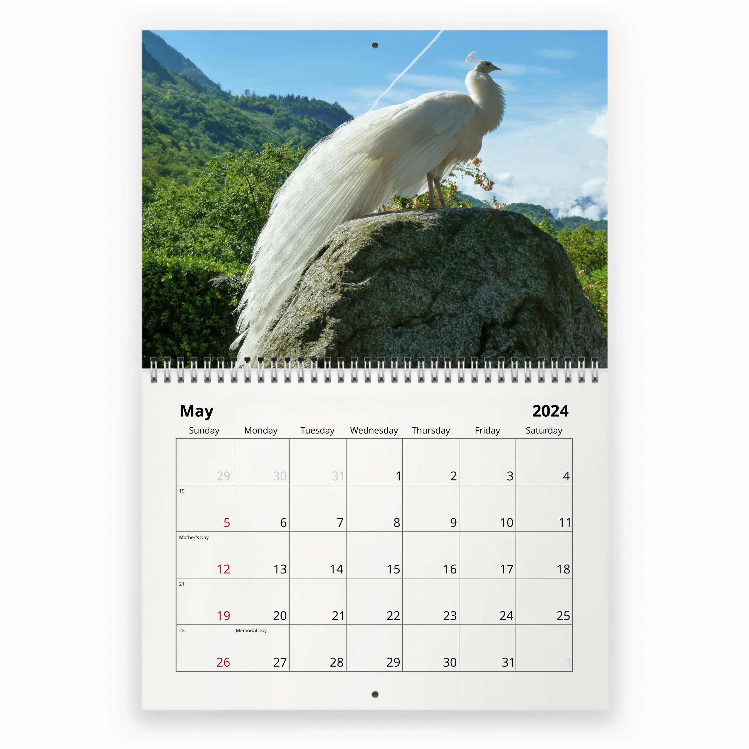 Peacock 2024 Wall Calendar sold by Robbyn Expatriate SKU 4604197