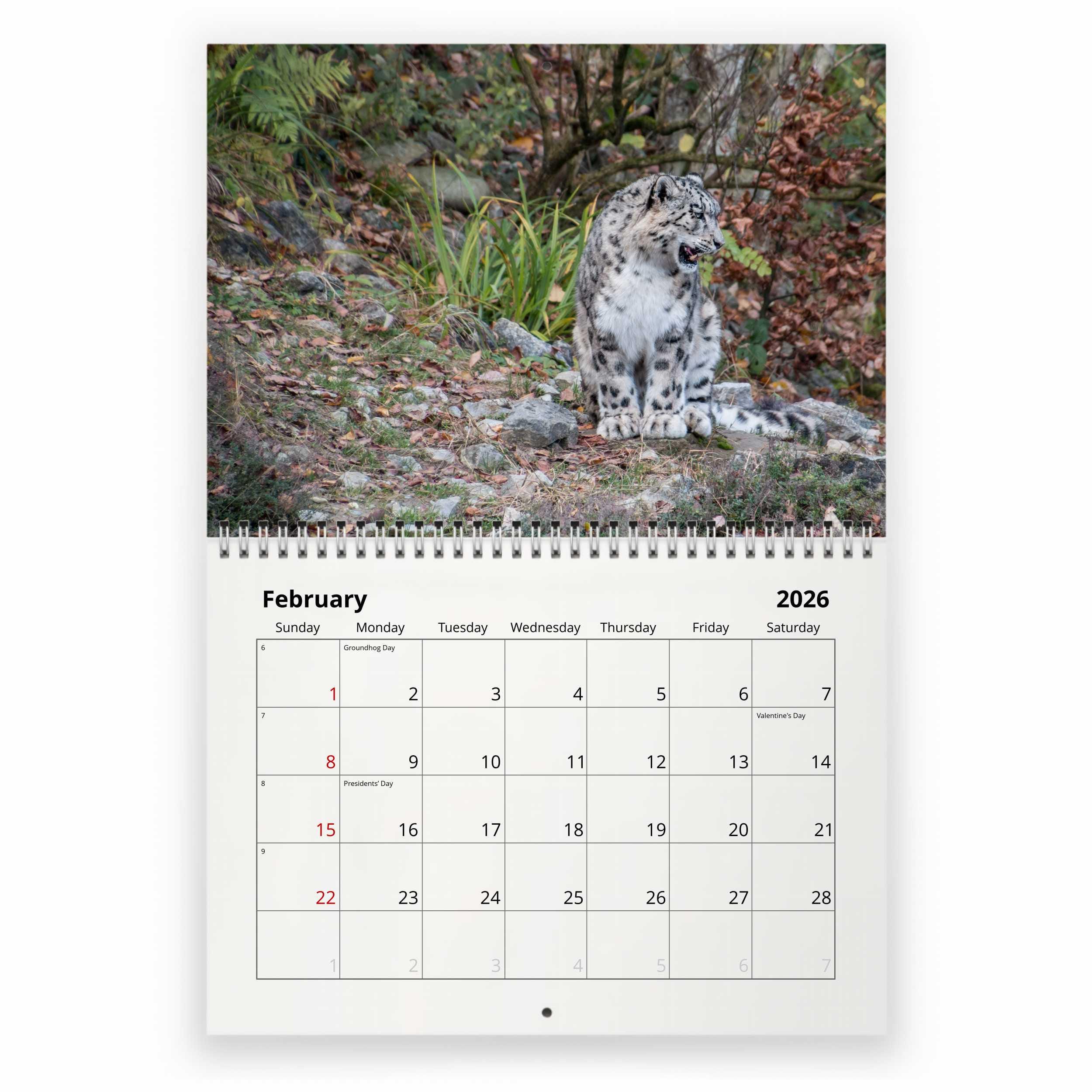 Snow Leopard 2026 Wall Calendar ID:W26129 - Etsy