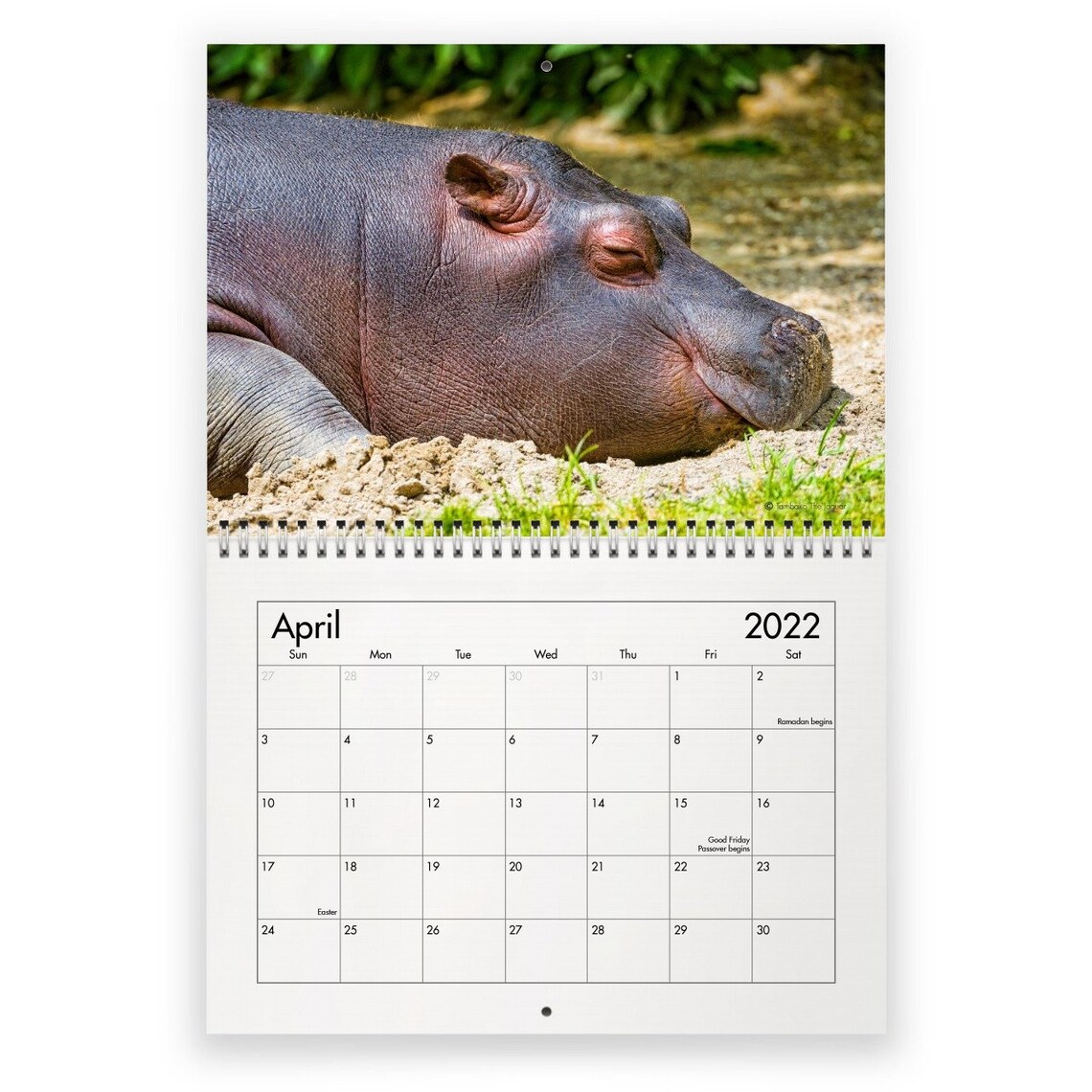 Hippo 2022 Wall Calendar ID12159 Etsy