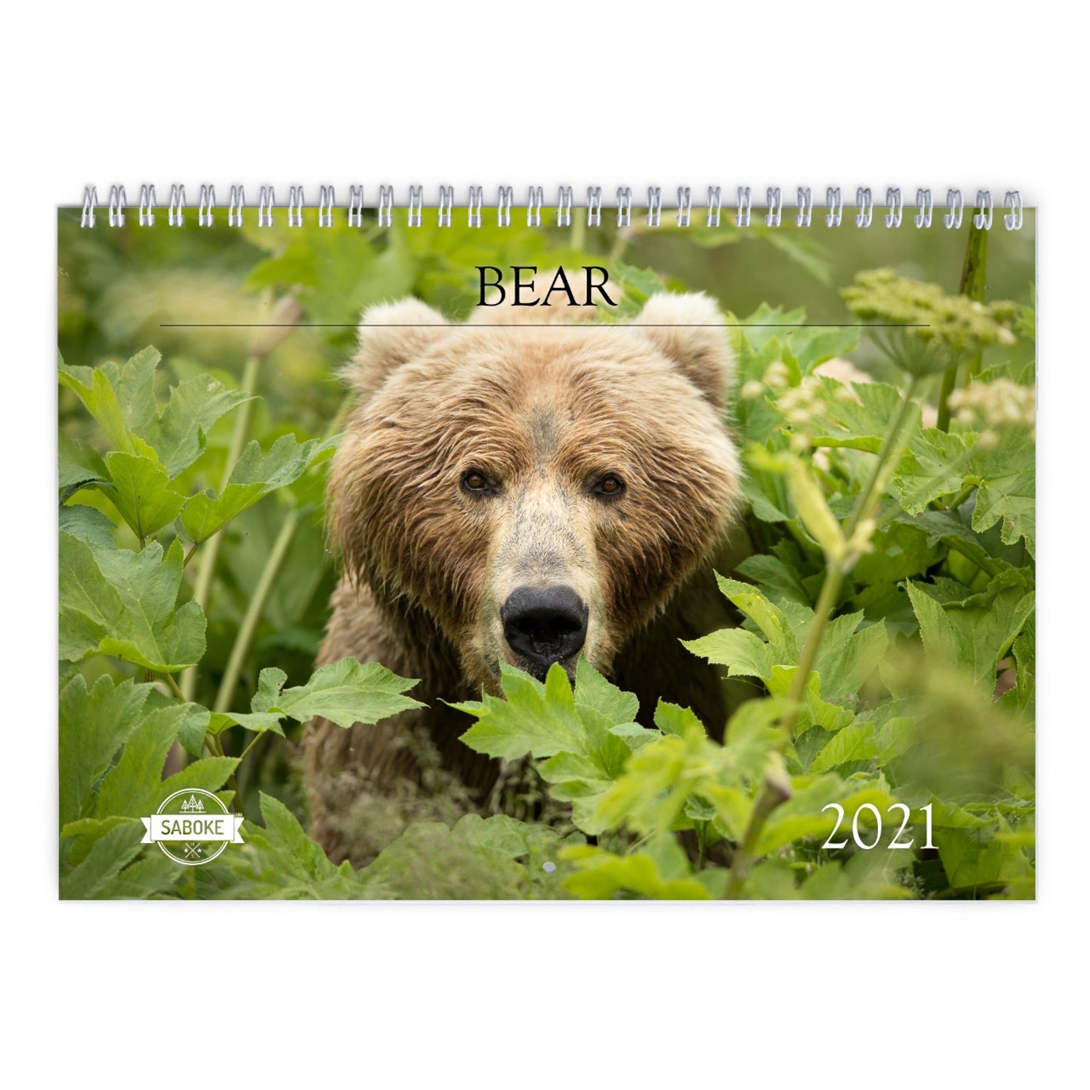 Bear 2021 Wall Calendar Etsy