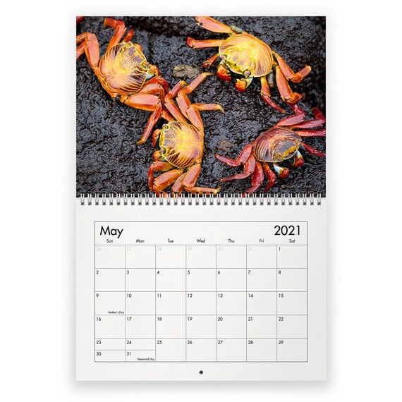 Crab 2021 Wall Calendar Etsy calendrier crabos 2021