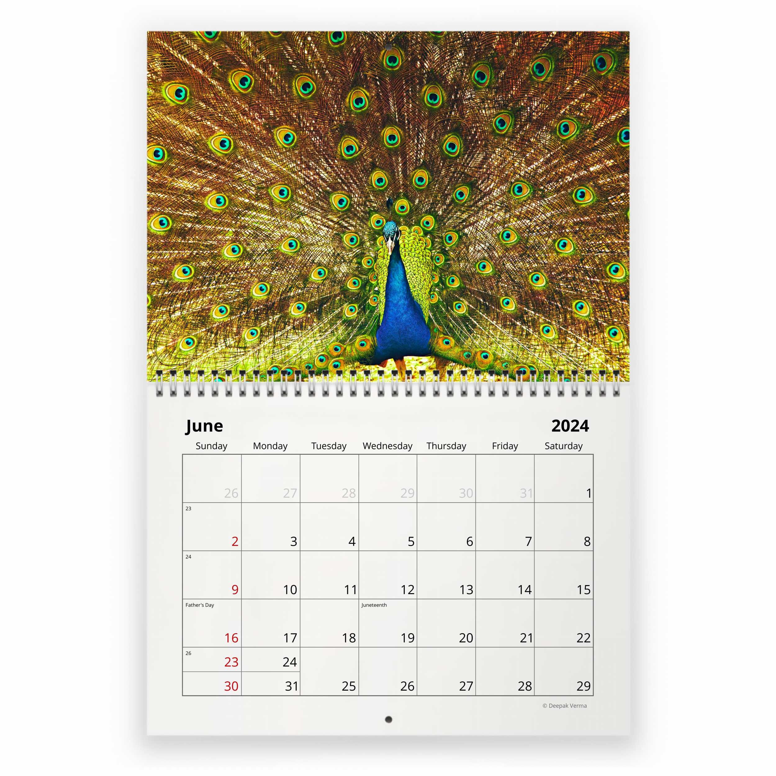 Peacock 2024 Wall Calendar sold by Robbyn Expatriate SKU 4604197