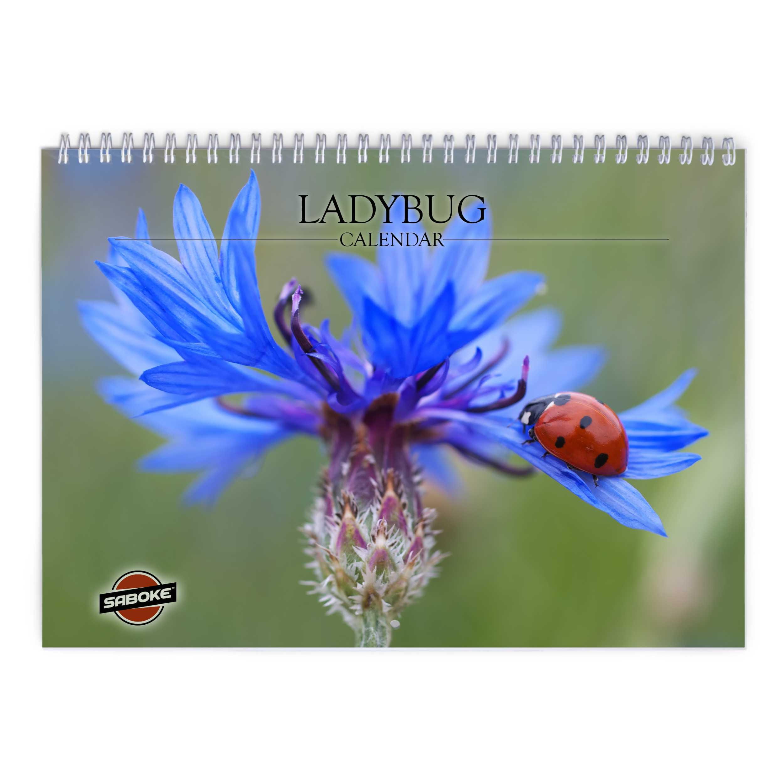 Ladybug 2026 Wall Calendar ID:W26108 - Etsy