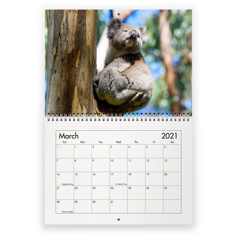 Koala 2021 Wall Calendar Etsy