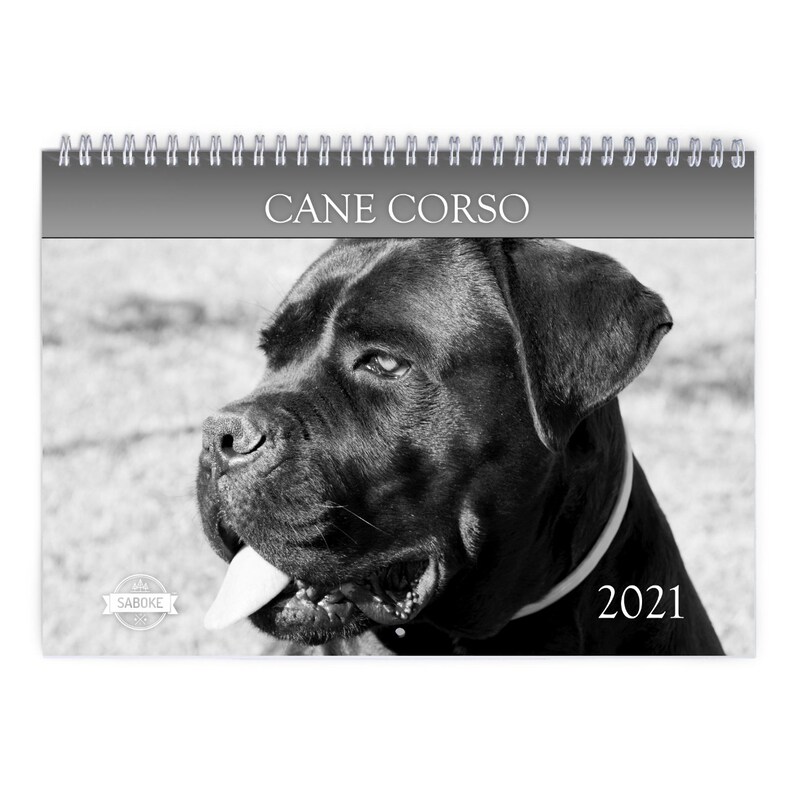 Cane Corso 2021 Wall Calendar Etsy