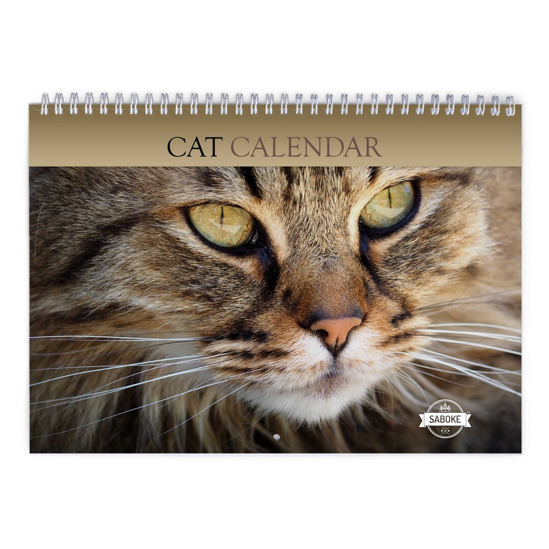 Cat 2024 Wall Calendar IDW24060 Etsy