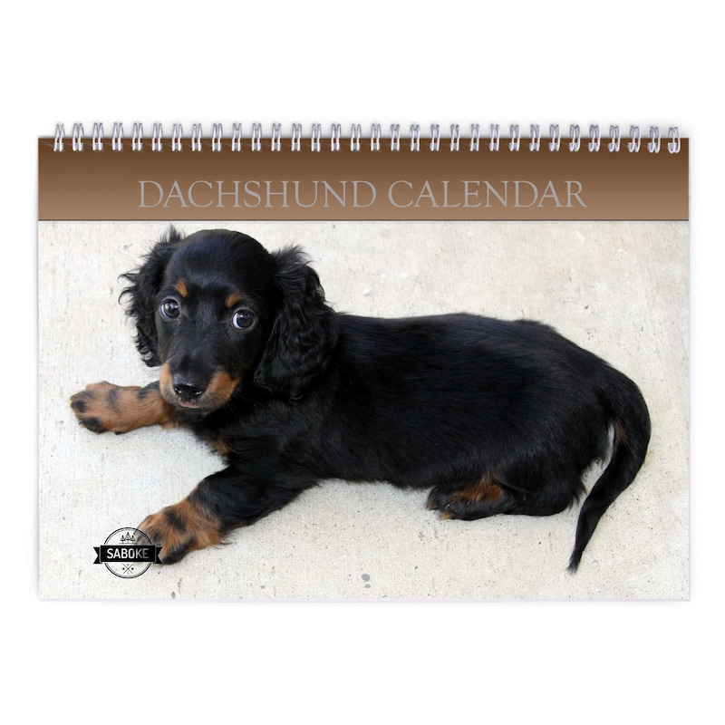 Dachshund Calendar 2025 Etsy