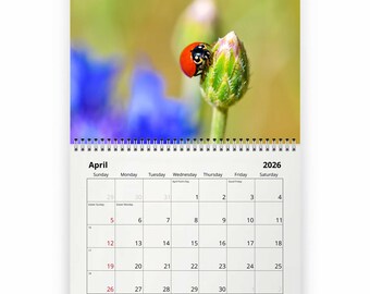 Ladybug 2026 Wall Calendar ID:W26108 - Etsy