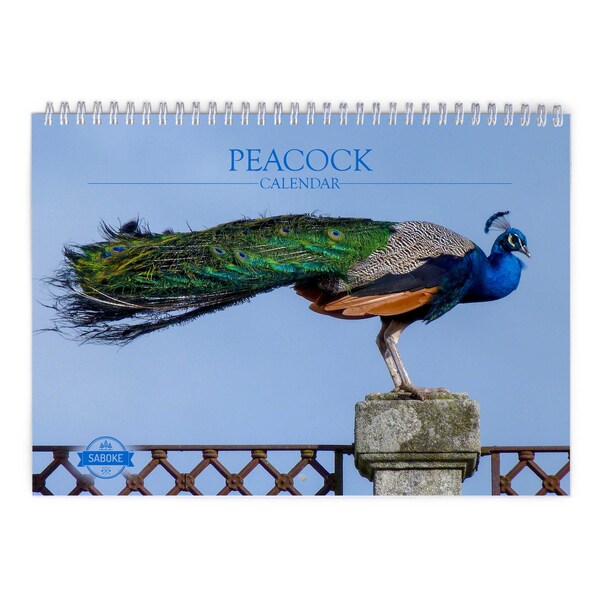 Peacock 2024 Calendar Etsy