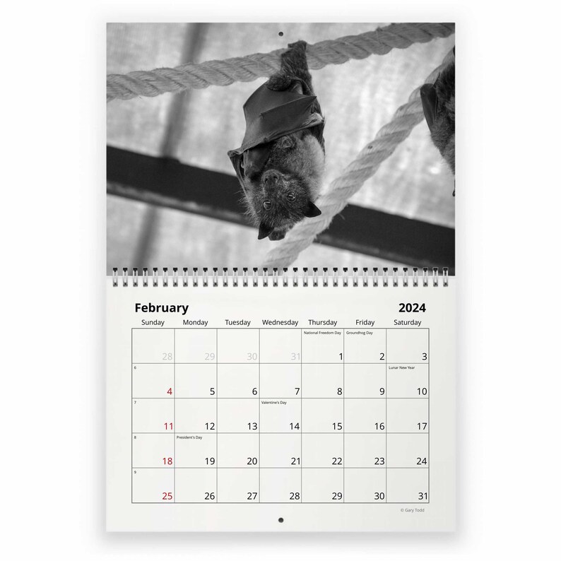 Bats 2024 Wall Calendar IDW24073 Etsy