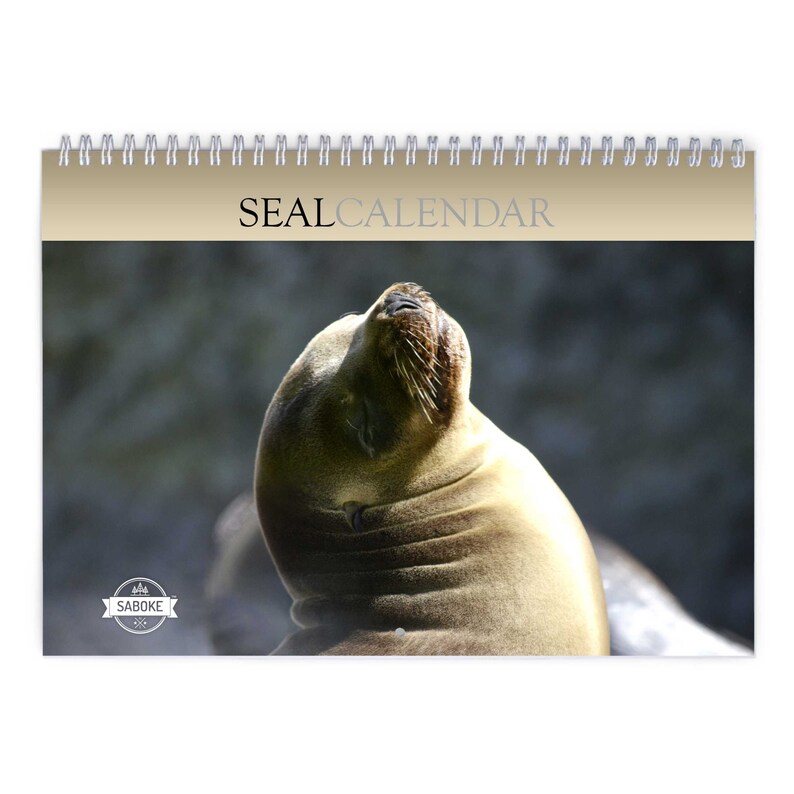 Seal 2024 Wall Calendar IDW24016 Etsy