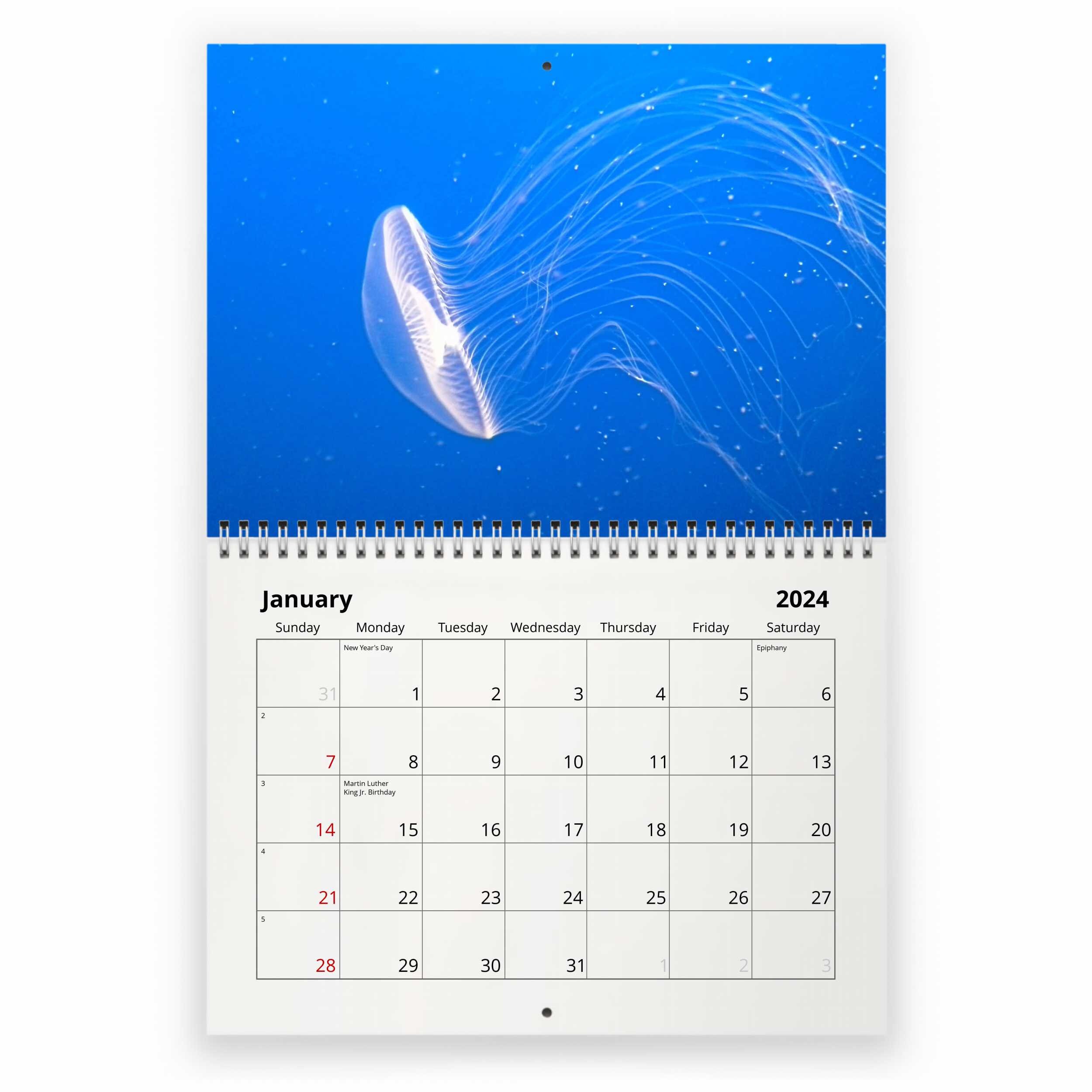 2024 Hawaii Jellyfish Calendar Aida Myrtle