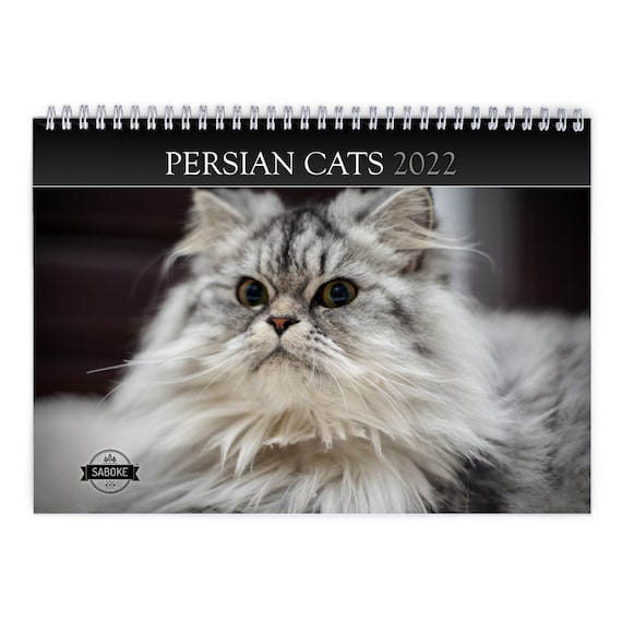 Persian Calendar 2022 Persian Cat 2022 Wall Calendar Id:12265 | Etsy Canada
