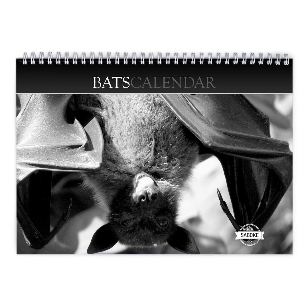 Bats 2024 Wall Calendar IDW24073 Etsy