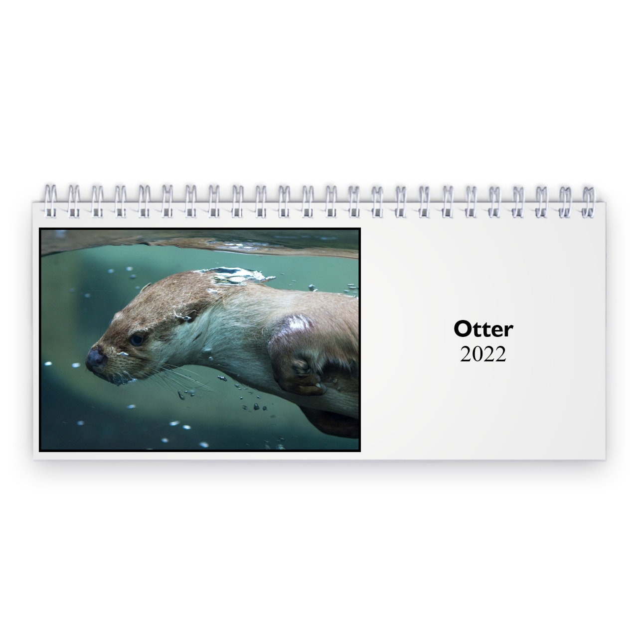 Otter Calendar 2022 Otter 2022 Desk Calendar Id:12463 | Etsy Australia