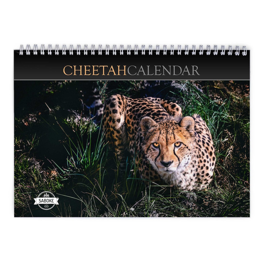 Cheetah 2024 Wall Calendar IDW23021 Etsy
