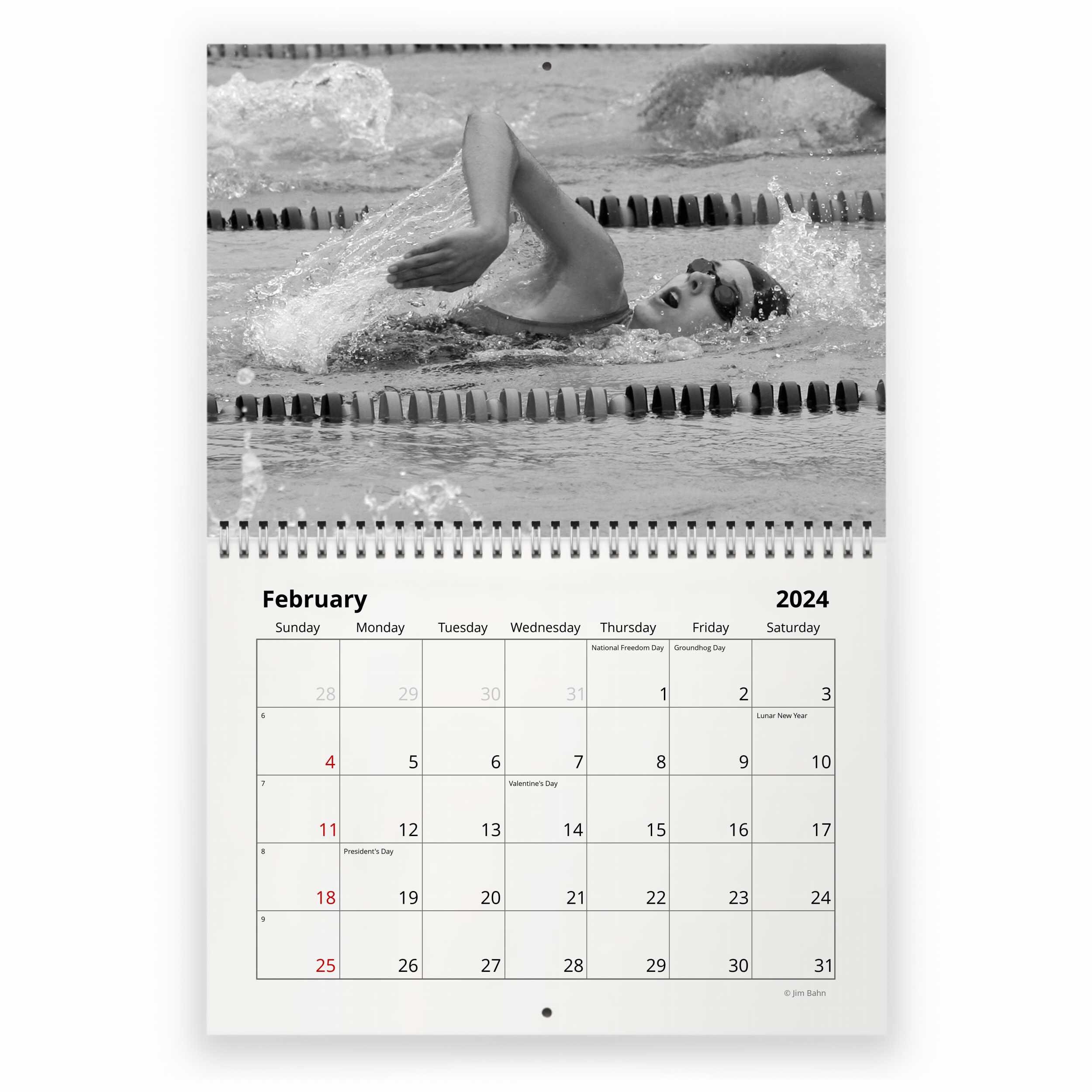 Swimming 2024 Wall Calendar sold by Insignificant Turntable SKU