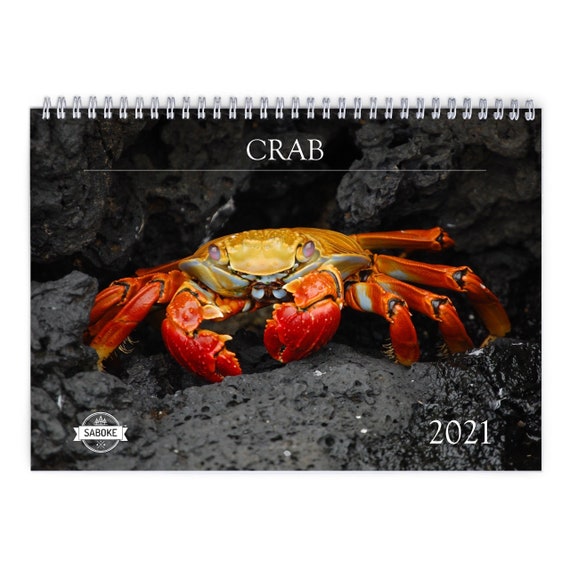 Crab 2021 Wall Calendar Etsy calendrier crabos 2021