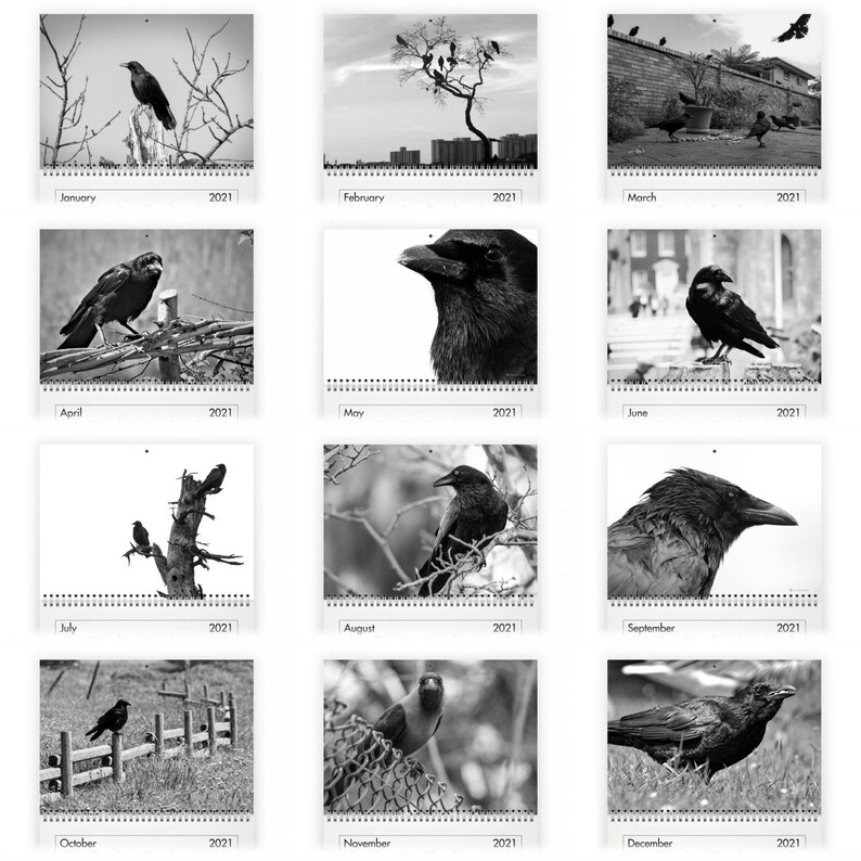 Crow 2021 Wall Calendar Etsy