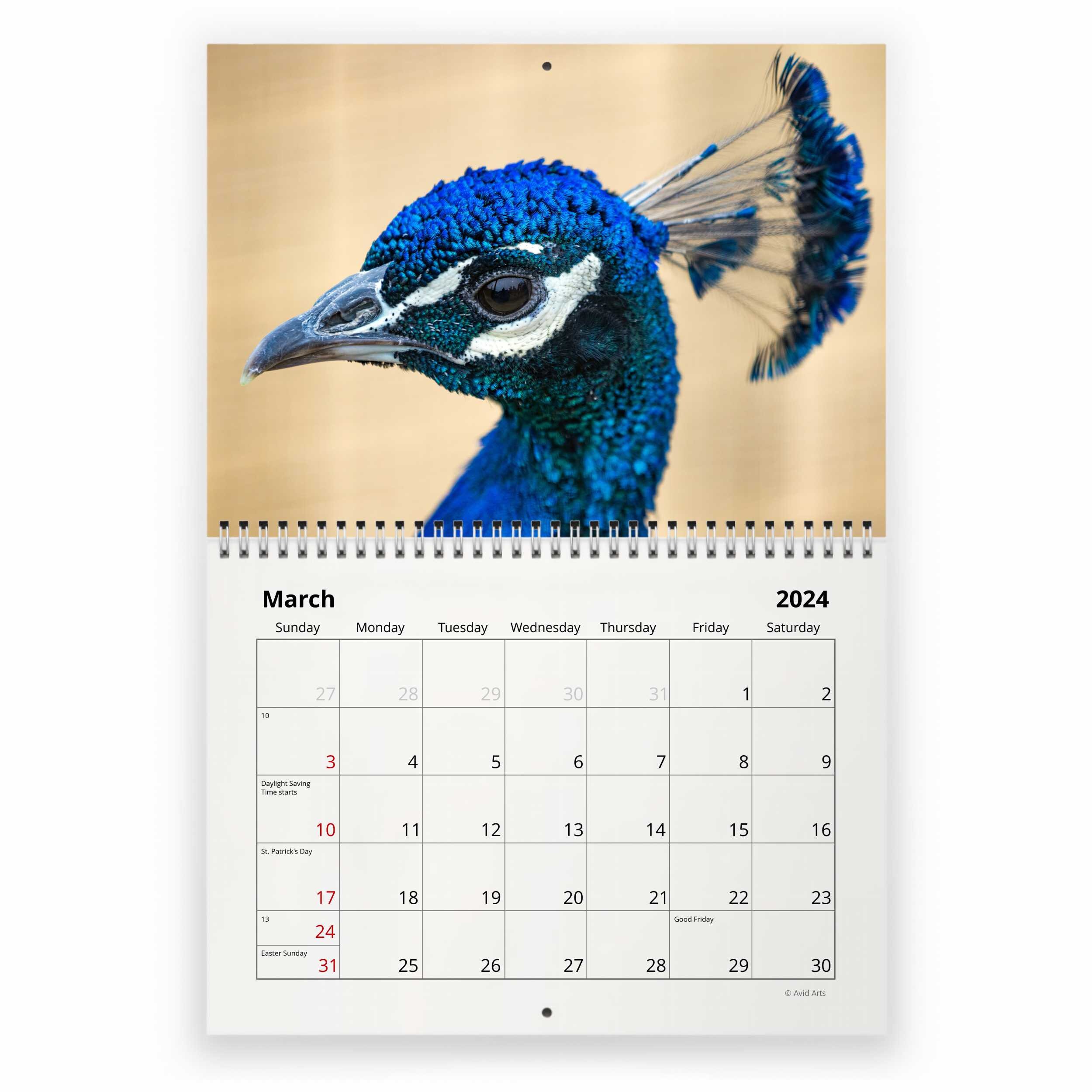 Peacock 2024 Wall Calendar sold by Robbyn Expatriate SKU 4604197