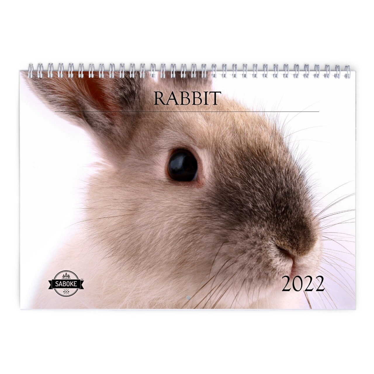 Rabbit 2022 Wall Calendar Id:12274 | Etsy