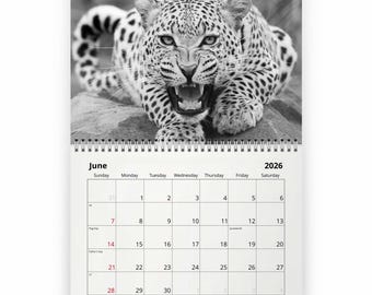Snow Leopard 2026 Wall Calendar ID:W26129 - Etsy