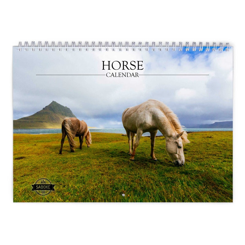 2025 Horse Calendar - Etsy