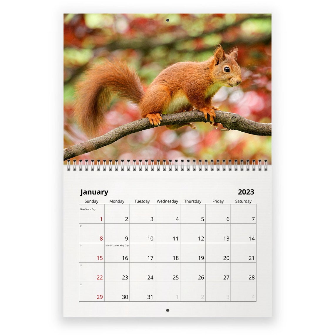 Squirrel 2023 Wall Calendar ID12811 Etsy