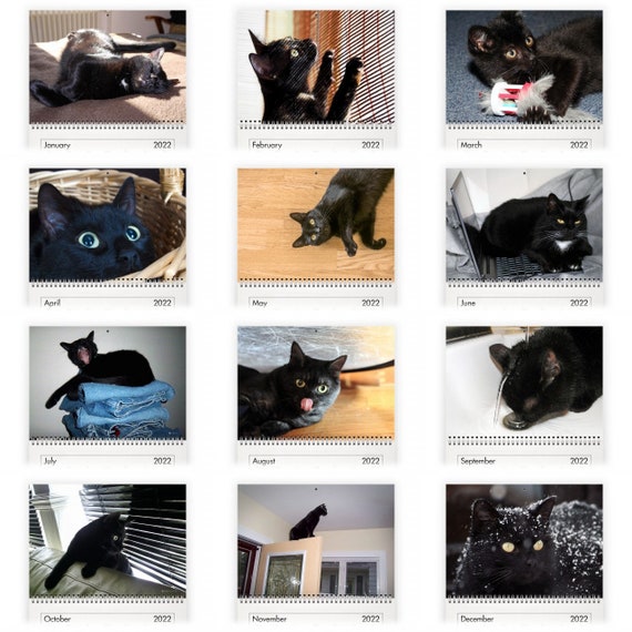 Chat Noir 22 Calendrier Mural Etsy France