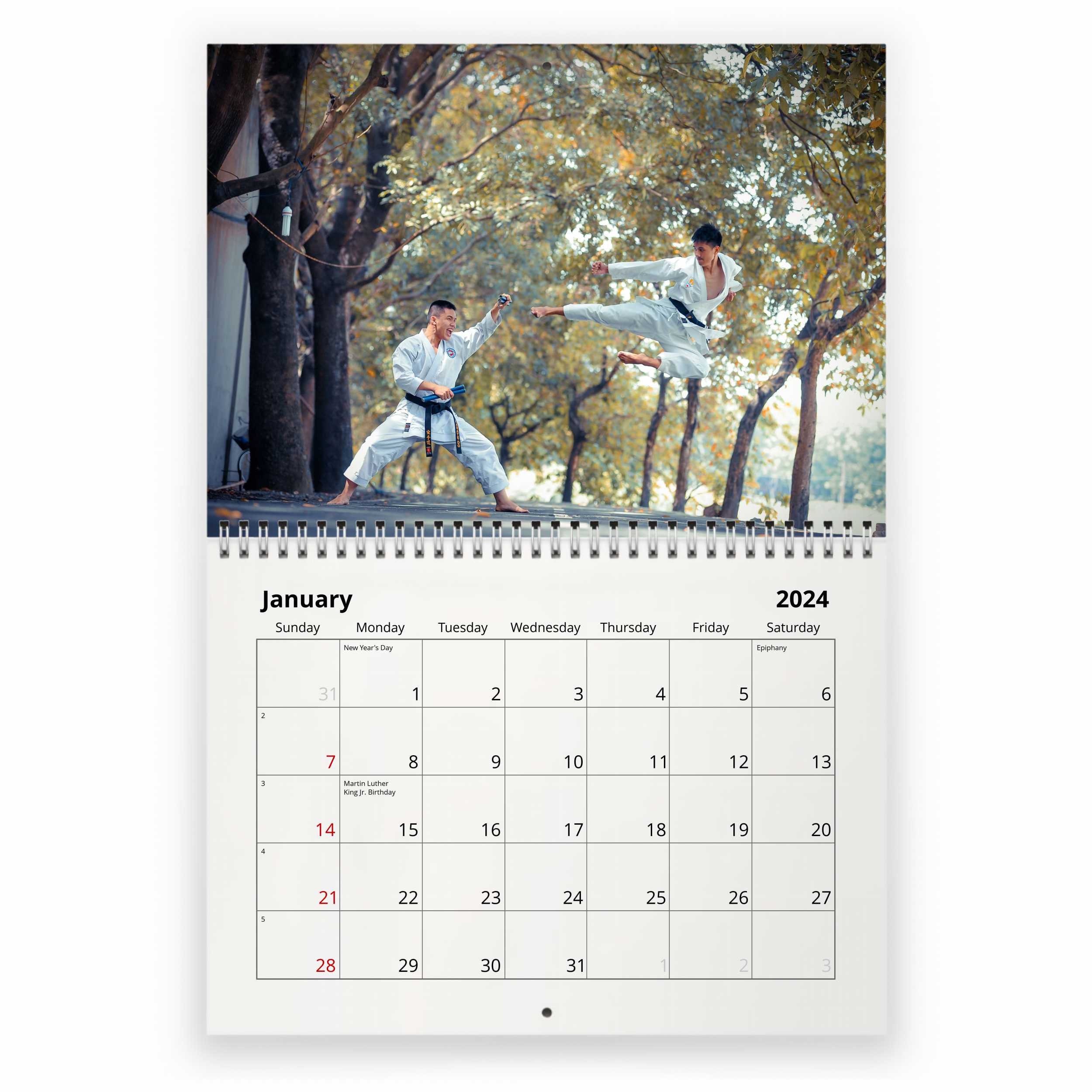 Karate 2025 Wall Calendar sold by Faded Ronnica SKU 4604196