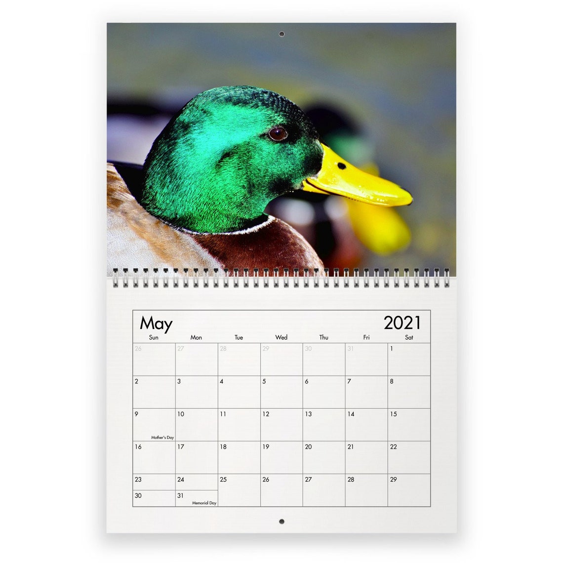 Duck 2021 Wall Calendar Etsy