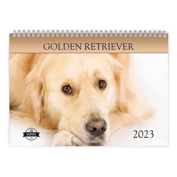 Golden Retriever 2023 Wall Calendar ID:12756 - Etsy