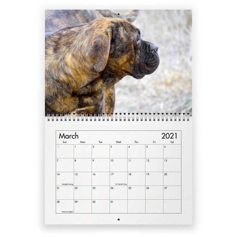 Cane Corso 2021 Wall Calendar Etsy