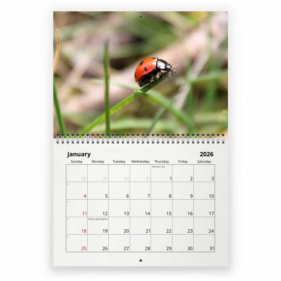 Ladybug 2026 Wall Calendar ID:W26108 - Etsy
