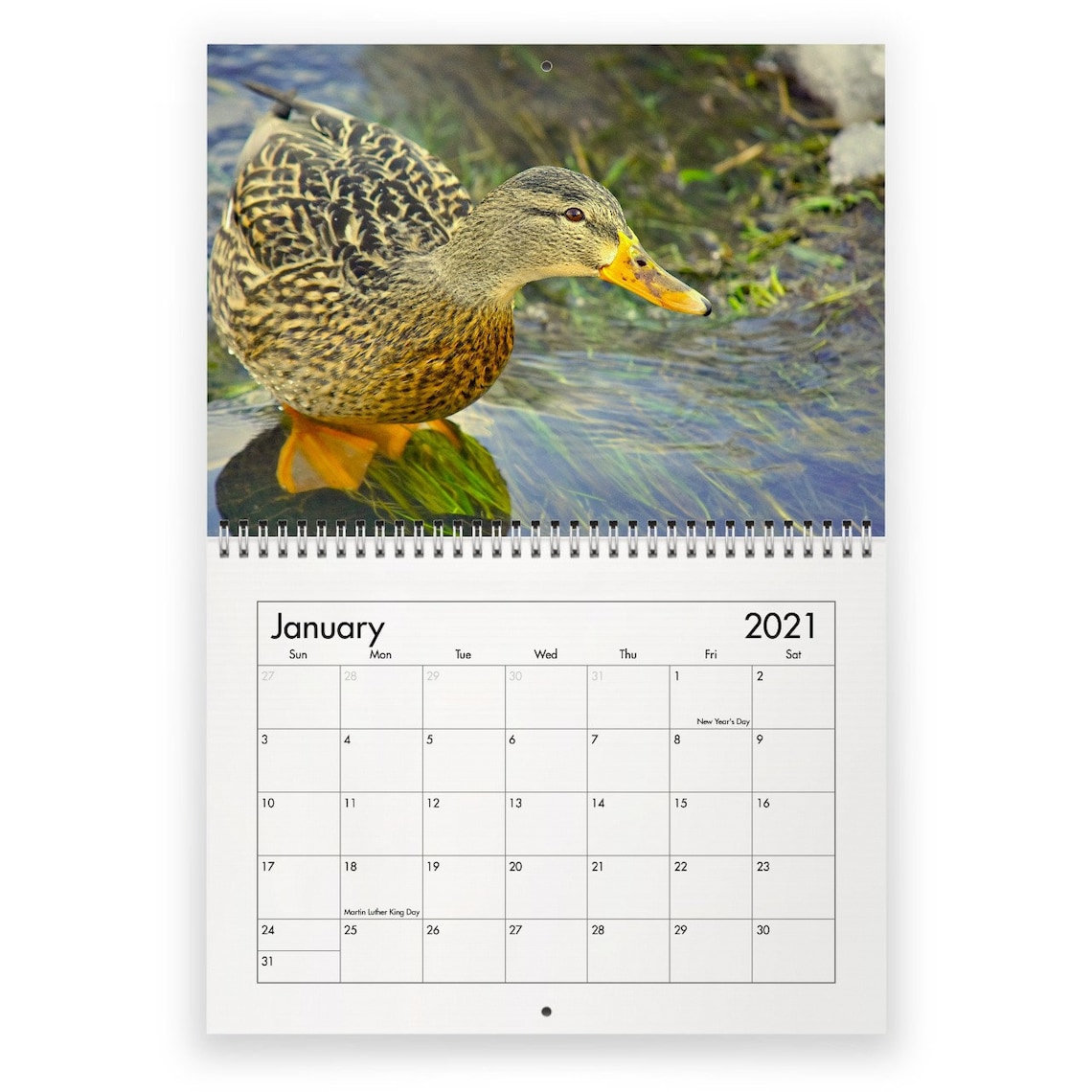 Duck 2021 Wall Calendar Etsy