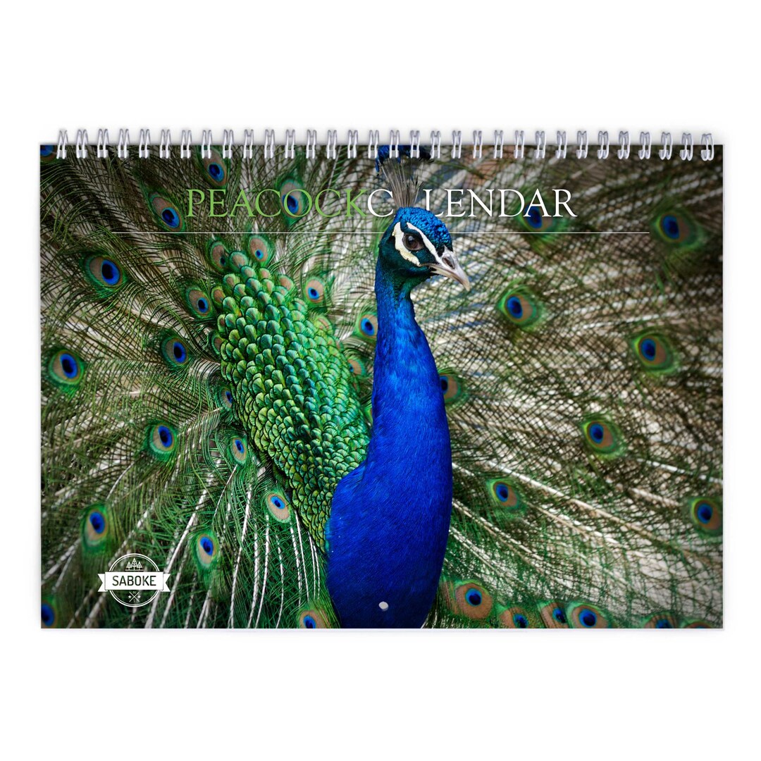 Peacock 2025 Wall Calendar IDW23011 Etsy