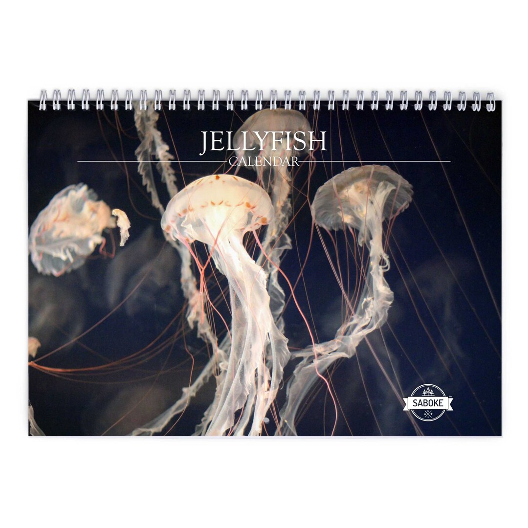 Jellyfish 2025 Wall Calendar IDW23018 Etsy