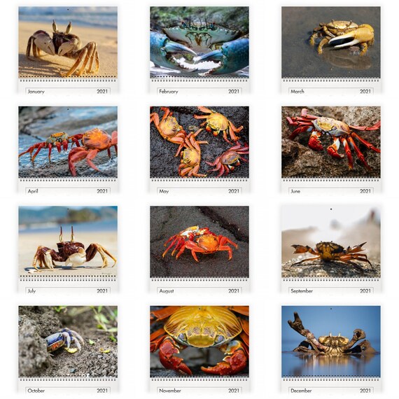 Crab 2021 Wall Calendar Etsy calendrier crabos 2021