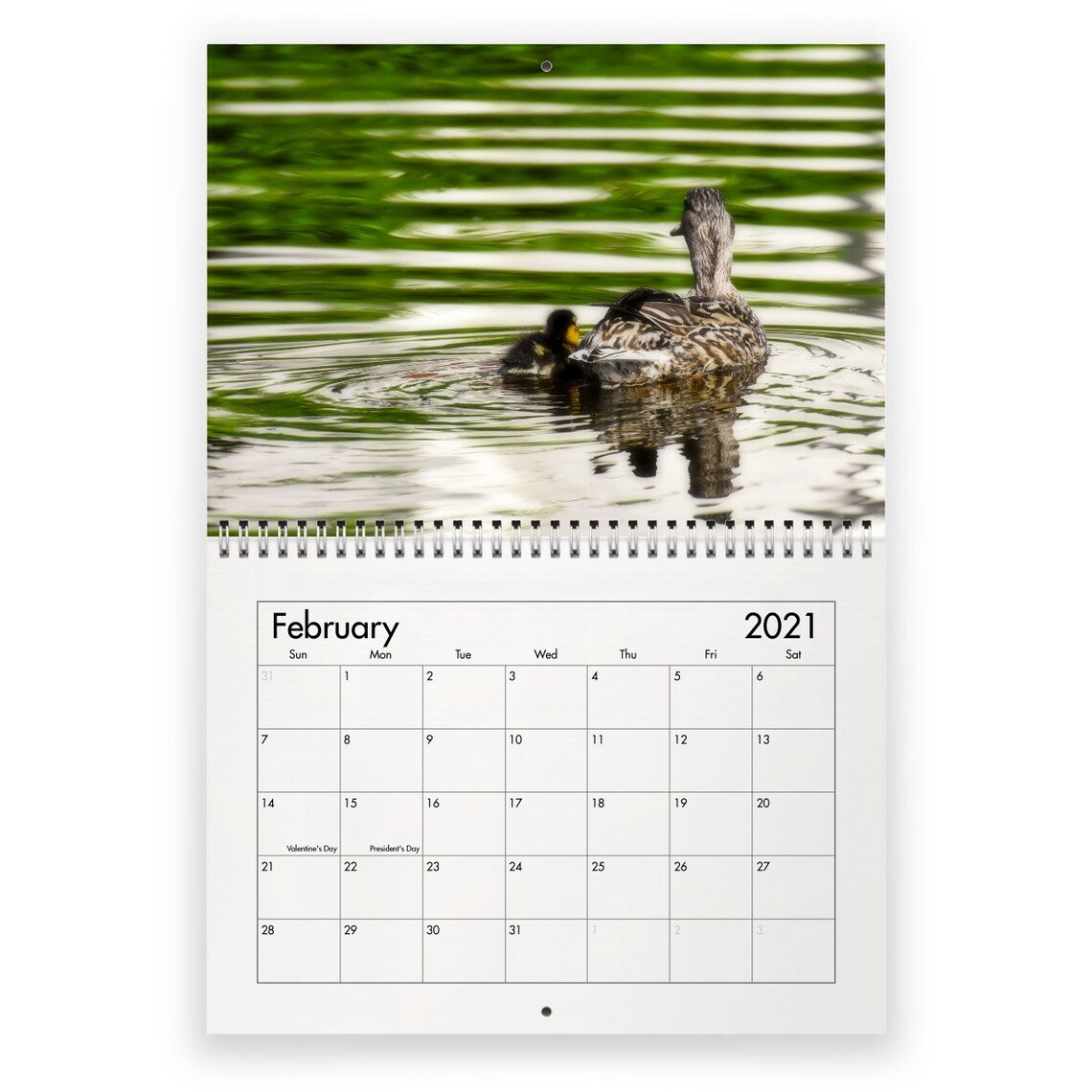 Duck 2021 Wall Calendar Etsy