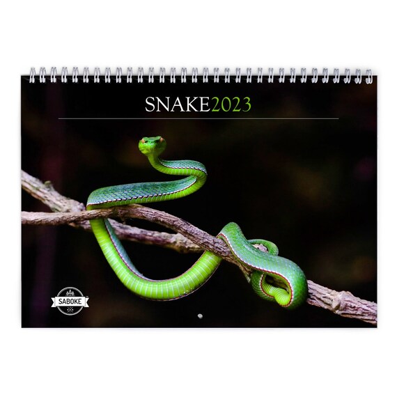 Snake 2023 Wall Calendar ID12791 Etsy UK