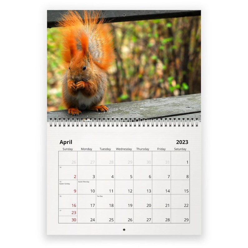 Squirrel 2023 Wall Calendar ID12811 Etsy