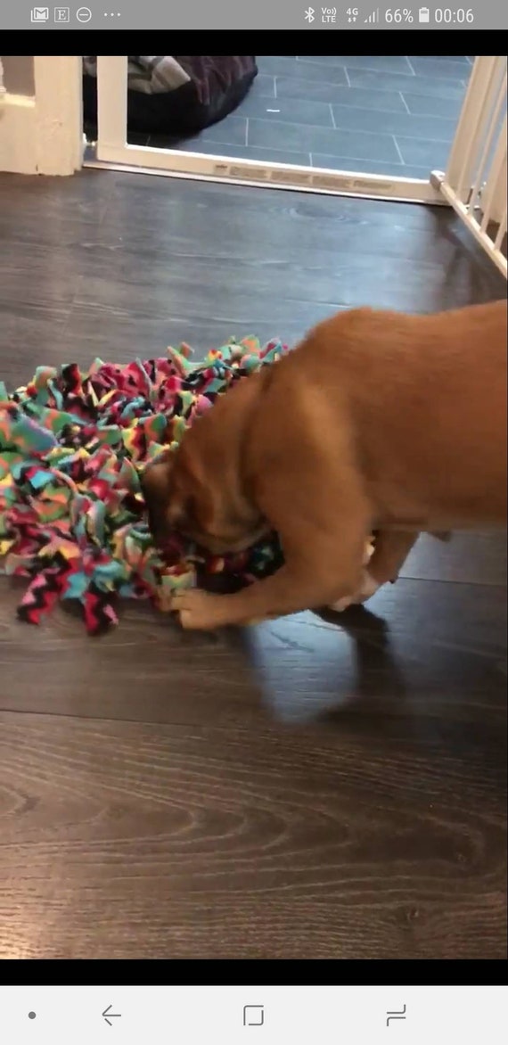 The 2 Best Snuffle Mats For Dogs (7 Tested & Reviewed!) - Dog Lab