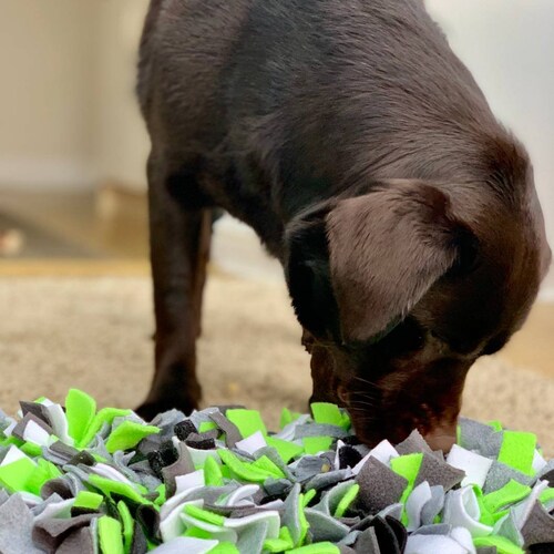 Rainbow Dog Treat 'snuffle Mat Etsy UK