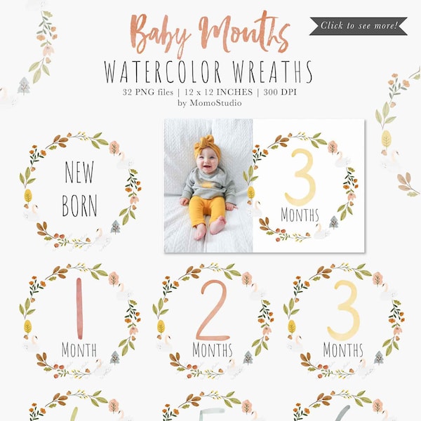 Baby First Year Milestone Clipart, Baby Monthly Milestone png, Digital Baby Floral Milestone Stickers, Baby Shower Gift Scrapbooking /B45-01