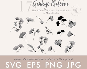 GINKGO Leaf Clipart Ginkgo lineart Fall Wedding Invitation Clipart Branding Logo Packaging Digital Scrapbooking Bujo SVG EPS png jpg /B23-05