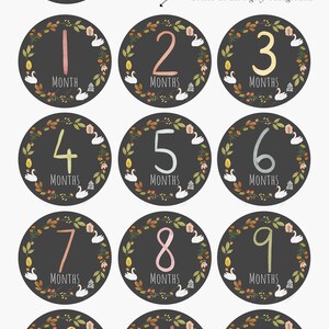 Baby First Year Milestone Clipart, Baby Monthly Milestone png, Digital Baby Floral Milestone Stickers, Baby Shower Gift Scrapbooking /B45-01 image 5