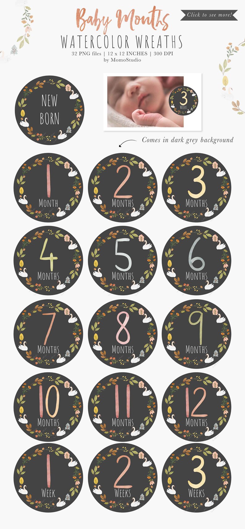 Baby First Year Milestone Clipart, Baby Monthly Milestone png, Digital Baby Floral Milestone Stickers, Baby Shower Gift Scrapbooking /B45-01 image 5