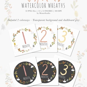 Baby First Year Milestone Clipart, Baby Monthly Milestone png, Digital Baby Floral Milestone Stickers, Baby Shower Gift Scrapbooking /B45-01 image 3
