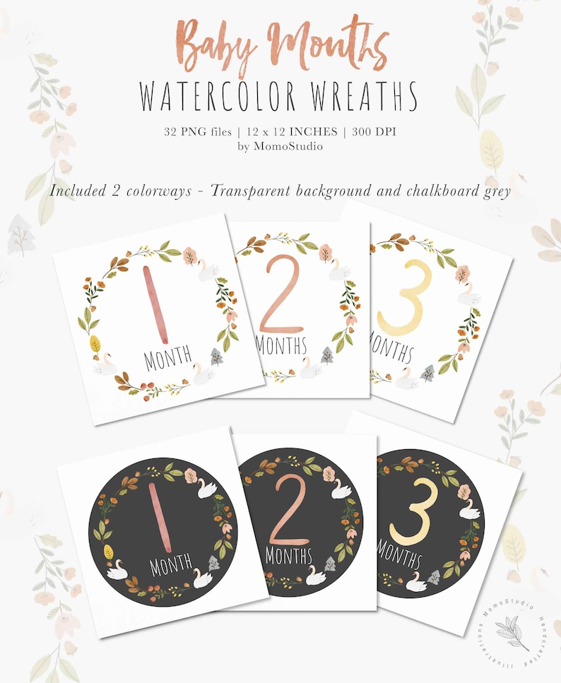 Baby First Year Milestone Clipart, Baby Monthly Milestone png, Digital Baby Floral Milestone Stickers, Baby Shower Gift Scrapbooking /B45-01 image 3