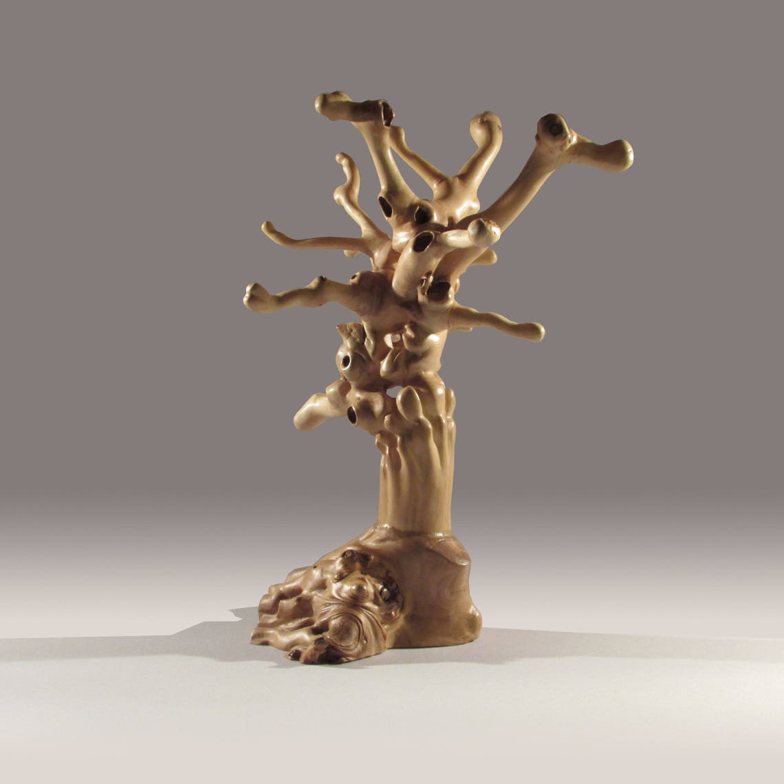 Abstract Driftwood Sculpture From the Roots of Chestnut. Etsy